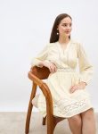 styli-schiffli-detail-v-neck-a-line-mini-dress-1