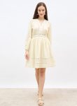 styli-schiffli-detail-v-neck-a-line-mini-dress-1